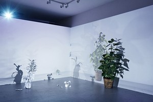 （示意圖源：互聯網）