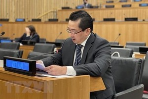 越南駐聯合國代表團副團長範海英大使。圖 : 越通社