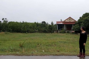 陳氏春近20年來到處提告以討回使用權的地皮。