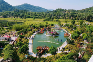 安好太陽能Safari