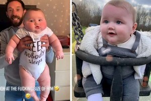 ５個月大嬰兒體重12公斤