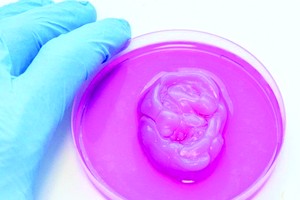 　　科研團隊冀用人體細胞打印鼻子和耳朵軟骨。