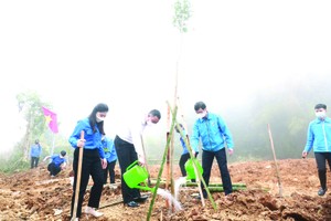 青年參加新農村建設活動