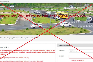 假冒駕駛證網站。圖源：互聯網
