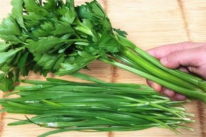 （示意圖源：互聯網）