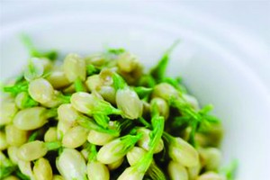 （示意圖源：互聯網）