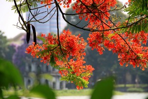 （示意圖源：互聯網）