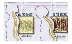 （示意圖源：互聯網）