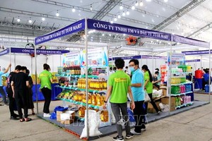 與越南企業同行