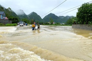 諒山省強降雨致民房受淹
