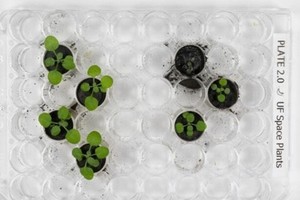 （示意圖源：互聯網）