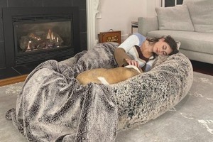 （示意圖源：互聯網）