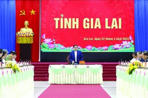 建設嘉萊省成為西原發展推動力