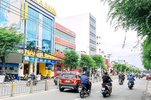 本市迎來涼爽怡人天氣