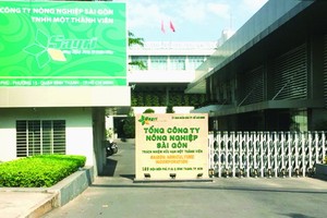 本市對多名幹部實施紀律處分