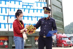 諒山促進鮮果與鮮花出口