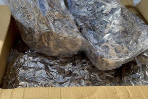 （示意圖源：互聯網）