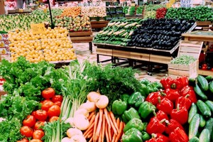 越南農產品具出口潛力。