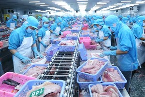 南部水產品工業有限責任公司的工廠出口查魚加工線。