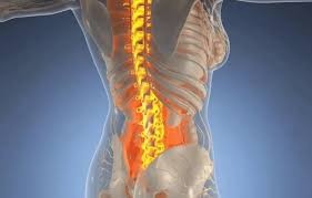 關於骨科病4個小常識