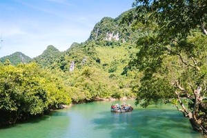 “融入大自然”的藍鑽石露營區。