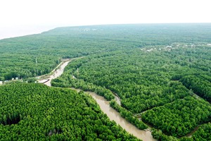 從高處瞻望的金甌角 國家公園。