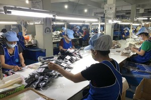 平陽省逐漸本土化原材料和零配件供應源。