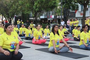 近千人參加第八屆國際瑜伽日活動 