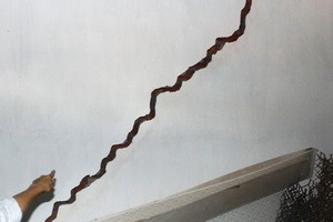 建房導致鄰居牆裂最高可被罰款4000萬元。