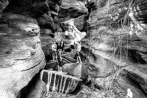 吸引遊客的仙安蝙蝠洞