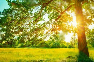 （示意圖源：互聯網）