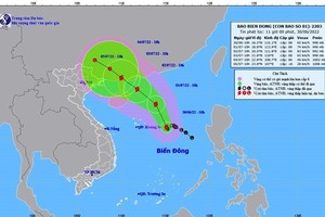 （示意圖源：互聯網）
