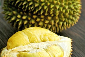 （示意圖源：互聯網）