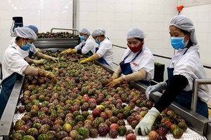 中國海關總局最近已同意，從本月1日起，准予越南百香果試行進口該國市場。