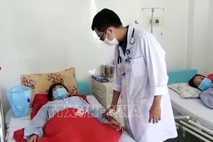 頭頓市仍是全省發現登革熱病例最多的地方，共2600例和2例死亡病例。