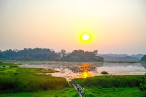 吸引遊客的蒲筲。