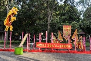 豪勇堂參加“深龍盃”華人龍獅邀請賽