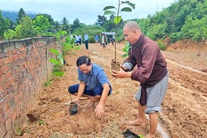 富國市發起全民植樹造林運動