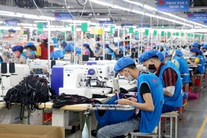 工商部指導各商務辦事處積極搜索、供應並定期更新紡織品成衣、皮鞋等領域的原材料 經銷商、製造商和出口商名單。