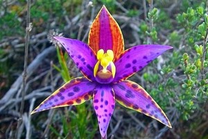 （示意圖源：互聯網）