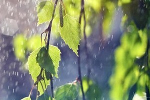 （示意圖源：互聯網）