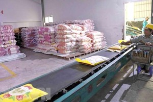 天祿集團在同奈省定館縣的優質大米生產區 收穫大米，符合出口歐盟市場的條件。