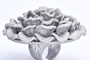 戒指鑲逾2.4萬顆鑽石