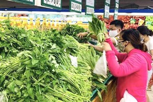 農業部門開展“越南人與世界的無公害農業”計劃。