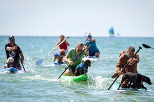 各位健兒奮力划槳衝刺。
