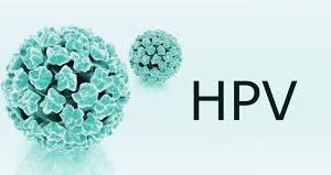 （示意圖源：互聯網）