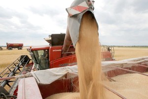 烏克蘭的小麥收割。