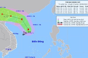 （示意圖源：互聯網）