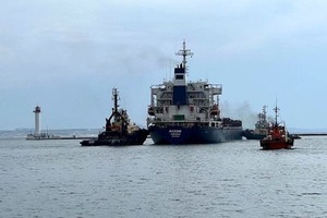 16 艘運糧船駛離烏克蘭港口