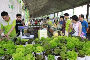 鼓吹綠色生活與健康盛會